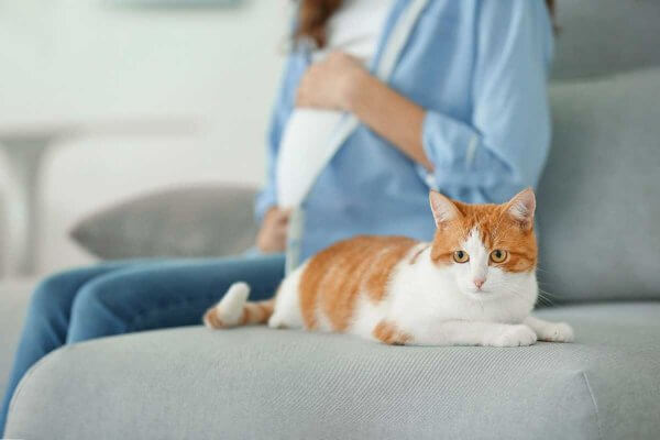 Homiladorlikda toksoplazmoz sabablari va davolash sirlari