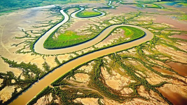 Sedimentatsiya haqida 31 ta qiziqarli fakt